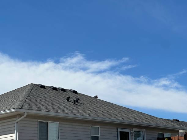 Best Storm Damage Roof Repair  in Kincaid, IL